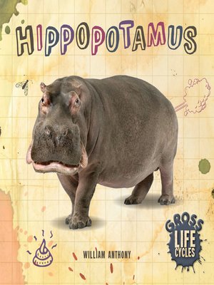 cover image of Hippopotamus